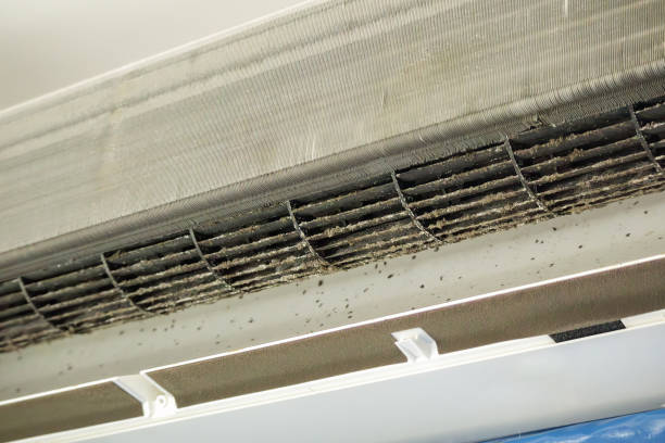 Best Duct Cleaning for Homes  in Spokane Valley, WA